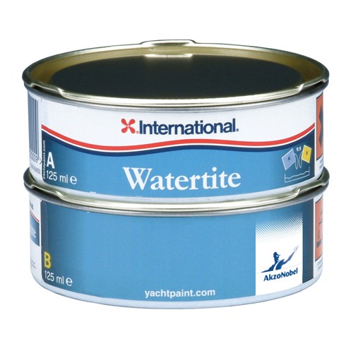 International Watertite Epoxy Filler - 250ml 
