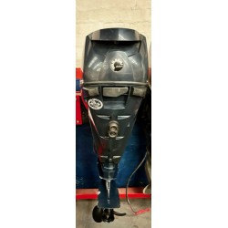 Evinrude E-TEC G1 E30DPLIIH 30HP 2-Stroke long shaft tiller control outboard engine (2010) ** Pre-Owned**