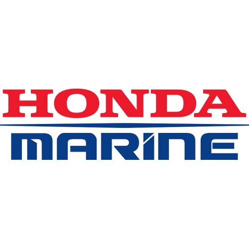 Honda Water Separating Fuel Filter ONLY: 17670-ZW1-801AH