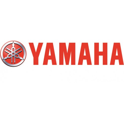 647-15723-01 Yamaha Starter Pulley