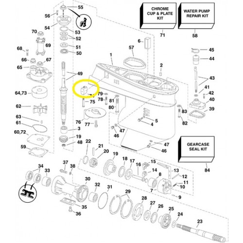 0436745 Evinrude E-TEC Gearcase Anode & Insert 