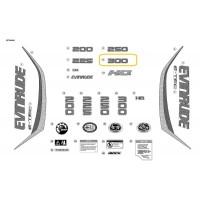 0216619 BRP Evinrude E-TEC 300HP Front Decal [Swift Silver]
