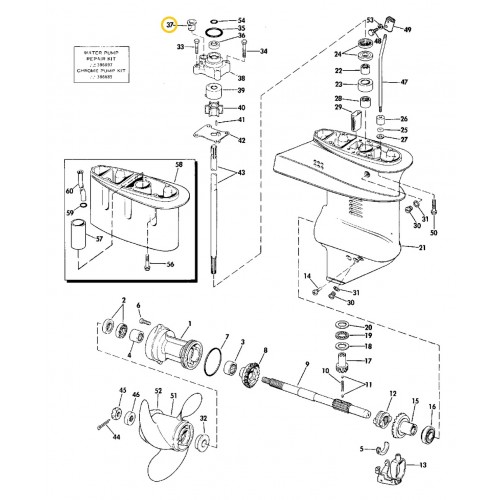 0302497 OMC BRP Evinrude/Johnson Lower Water Tube Grommet