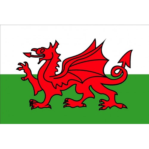 Welsh Dragon Courtesy Flag - 30 x 45cm