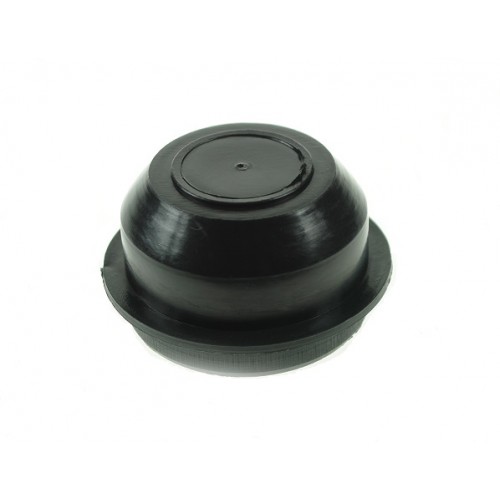 Indespension Plastic Hub Cap (pack of 2)